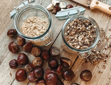 Natur DIY, dein eigenes kostenloses Waschpulver aus Kastanien herstellen | craftroomstories.com